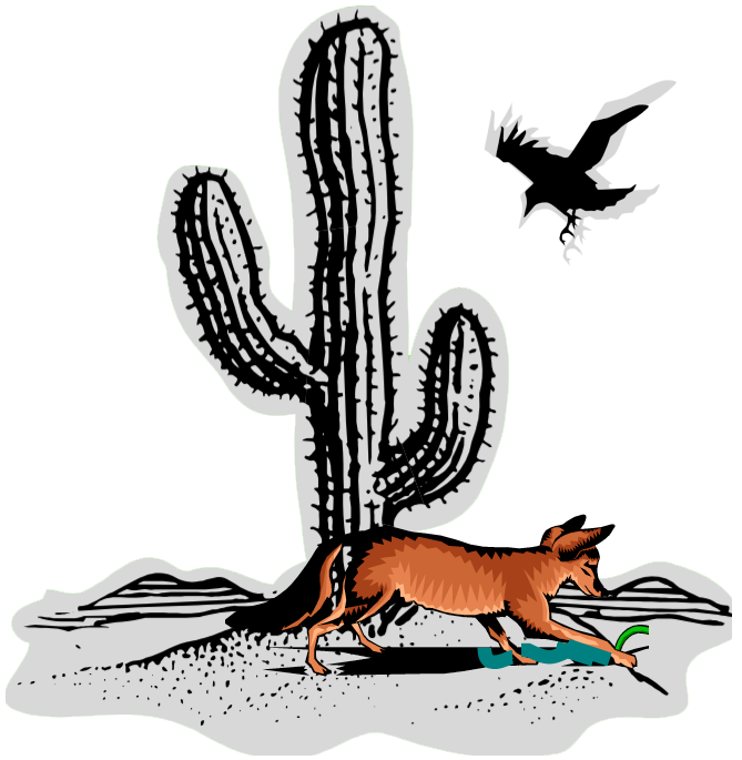 coyote-culebra